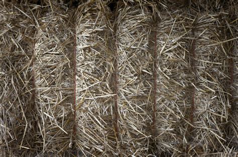 Hay Bale Close Up Free Photo Download Freeimages