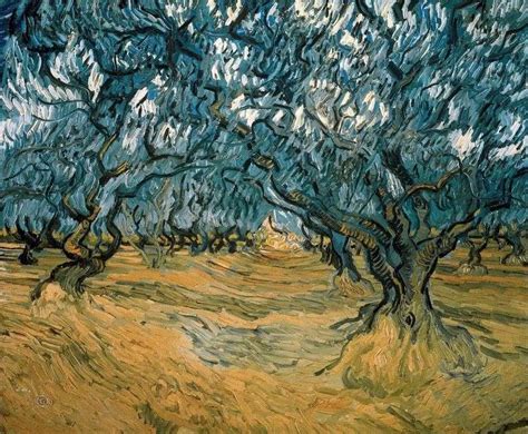 Olive Trees By Vincent Van Gogh ️ Van Gogh Vincent
