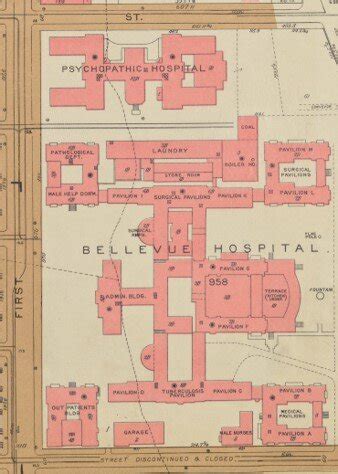Building Histories The Bellevue Psychopathic Hospital And The Rivington Street Bath Nyc