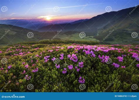 Majestic Mountain Sunset Landscape With Purple Sky View And