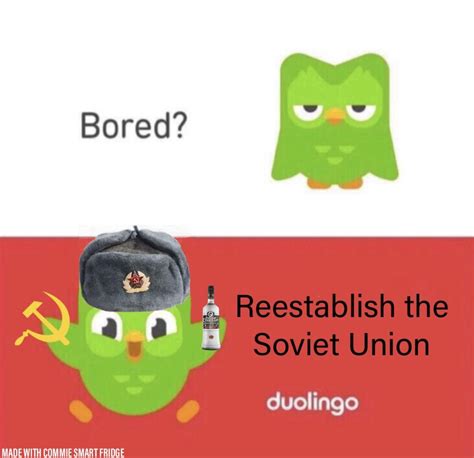Duolingo Meme Dank Memes Aesthetics V1 Duolingo Meme