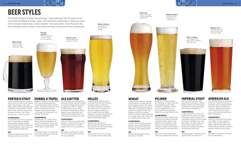 Types Of Beers And Examples