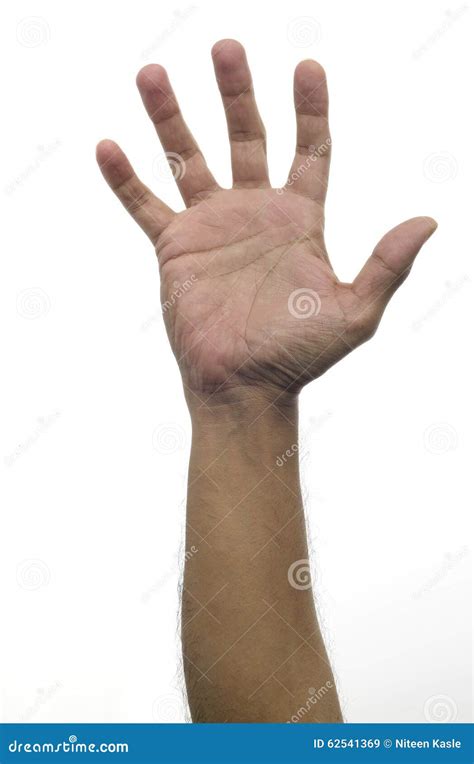 Human Palm Stock Image Image Of Martial Grabbing Feeling 62541369