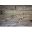 Reclaimed Wood Planks For Walls  Sustainable Lumber Co