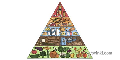 Food Pyramid Illustration Twinkl