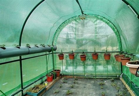 Best Shade Cloth For Greenhouse Tomatoes Vegetables And Orchids 2019