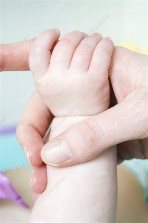 Baby S Hand Stock Image M830 2356 Science Photo Library