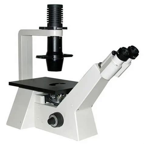 Magnus Inverted Tissue Culture Microscope Led At Rs 181395unit In