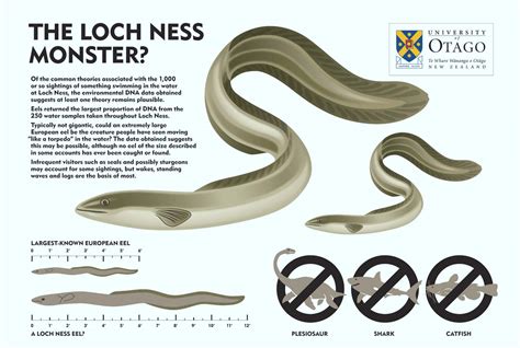 Researchers Test Dna From Loch Ness And Reveal What They Think Nessie Might Be Ancient Code