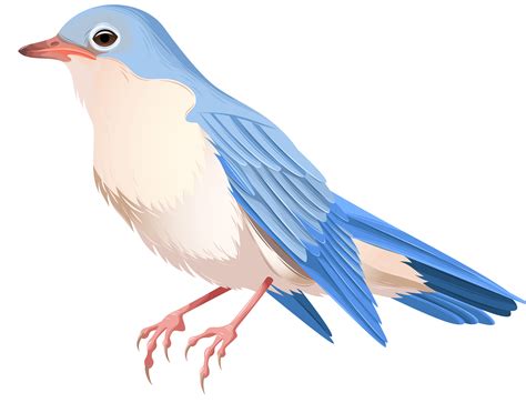 Bird Clip Art Paper Birds Png Download 80006133 Free Transparent