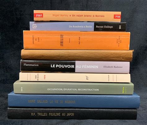 Lot Collection Of French Books And Novels