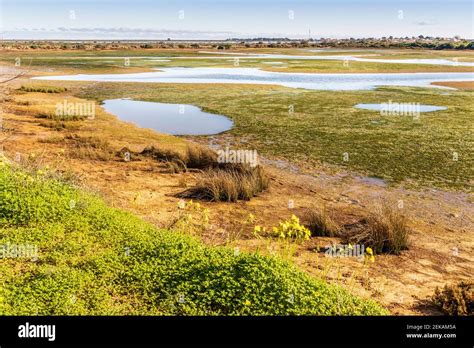 Ria Formosa National Park Hi Res Stock Photography And Images Alamy