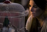 Las 5 mejores películas de Sandra Bullock en Netflix | El Diario NY