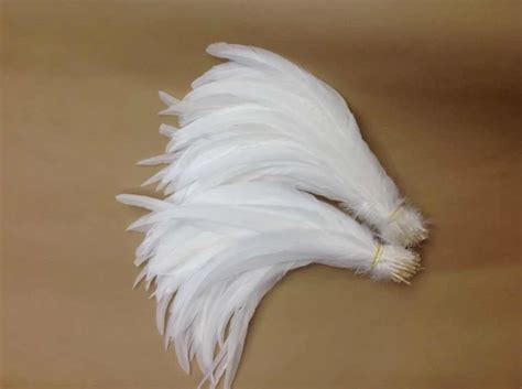 free shipping 100pcs pure white coque tail feather loose rooster feather loose cock feather 12