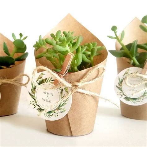 The Best Succulent Wedding Favors With Pictures Succulents Network