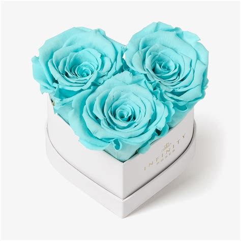 Shop Our Forever Roses In A Box Next Day Delivery Available