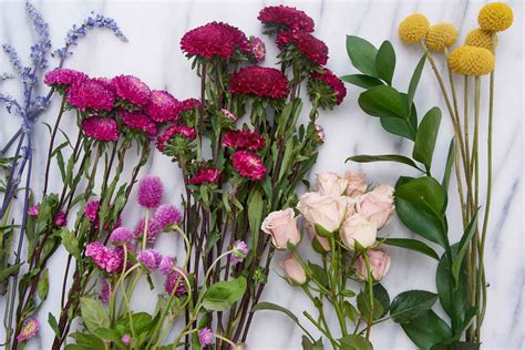 Tips For Harvesting Drying And Storing Flowers