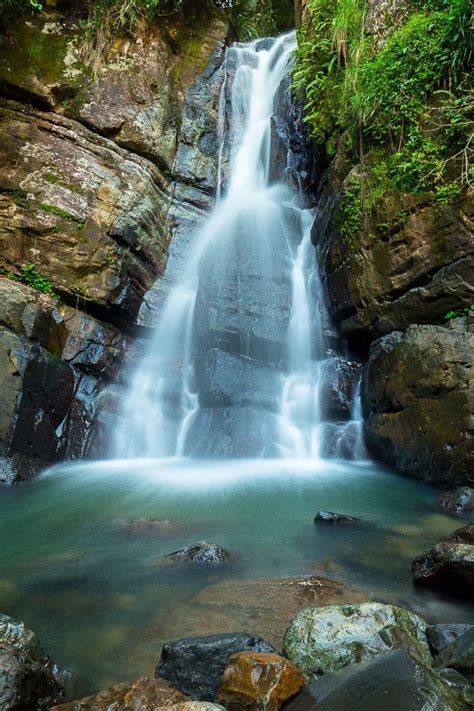 Travel To El Yunque Smailes Ferrlife