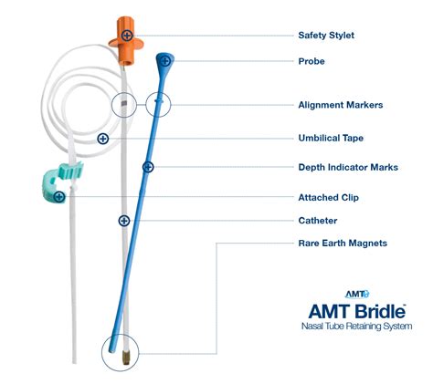 Amt Bridle Nasal Tube Retaining System Applied Medical Technology