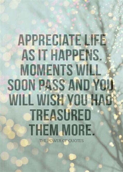 Appriciate Life As It Happens Moments Will Soon Pass And You Will Wish