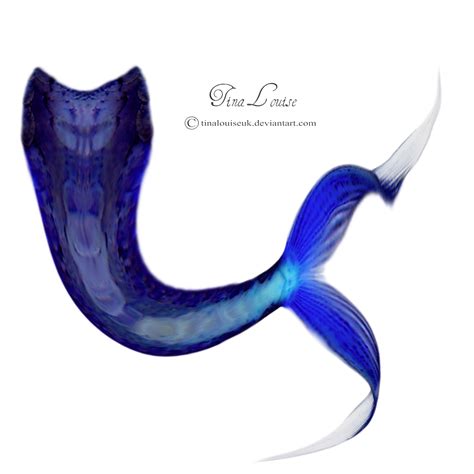 Mermaid Tail PNG Transparent Images PNG All