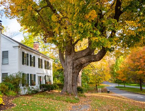 Discover Old Bennington On A Self Guided Walking Tour Vermont Begins Here