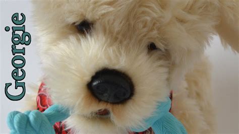 Buy realistic puppy toy on alibaba.com at unbeatable offers and enjoy the outcomes. Georgie Interactive Puppy - Realistic Toy Pet Demo - YouTube