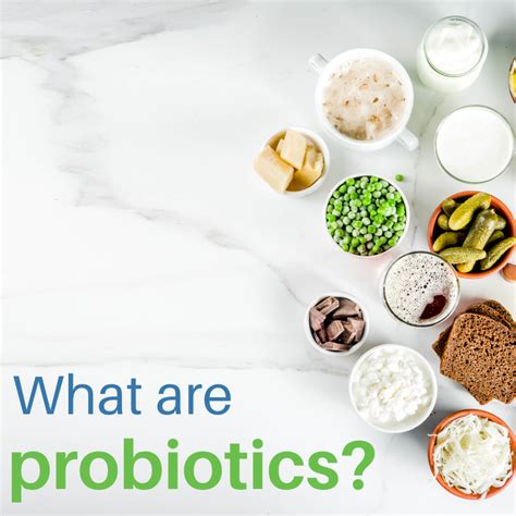 Probiotics Food Ingredient Facts