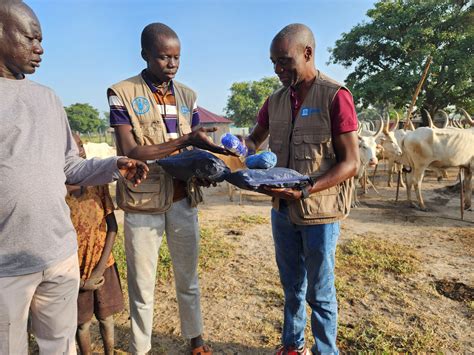 Unesco South Sudan On Twitter Unesco Country Representative Mrjulius