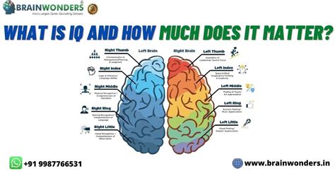 What Is Iq — And How Much Does It Matter Brainwonders