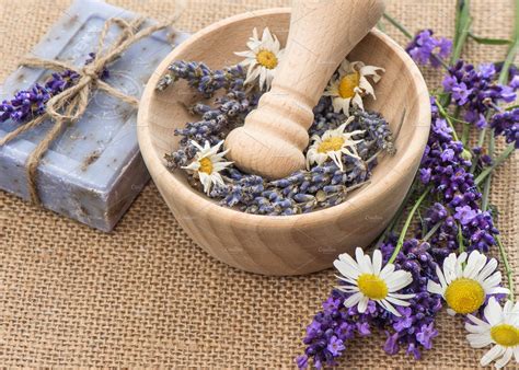 Fresh lavender flowers for sale. Pin on Spa