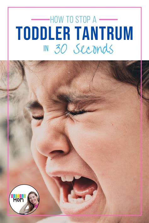 Stop Toddler Tantrums Fast Tantrums Toddler Social Emotional Skills