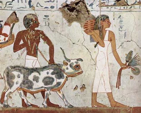 this ancient egyptian papyrus is the oldest known account of sexual assault in the workplace