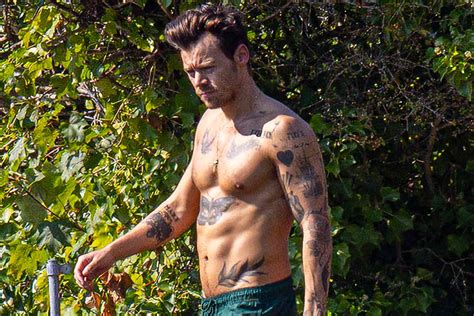Harry Styles Beat The Uk Heat Wave With A Shirtless Swim