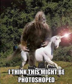 Memorable quotes and exchanges from movies, tv series and more. Funny Bigfoot Memes Funny Image Photo Joke 10 | QuotesBae