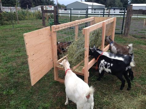 Diy Hay Feeder For Goats Diy Online