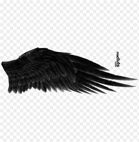Angel Wing Png Black Angel Wings PNG Image With Transparent