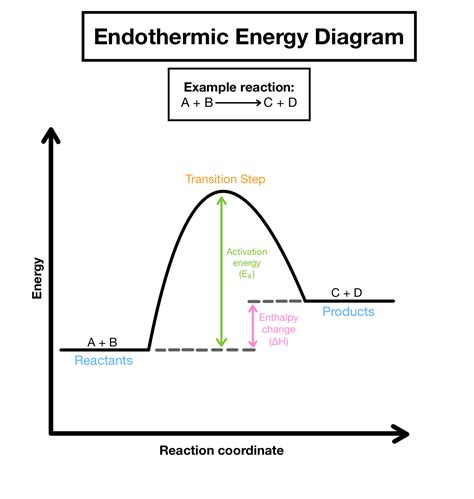 Draw An Energy Level Diagram For An Endothermic Reaction