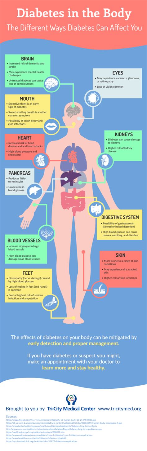 Diabetes In The Body The Different Ways Diabetes Can Affect You