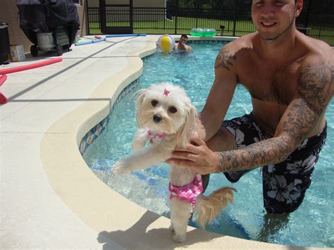 showing off her new bikini cute little things big heart love her