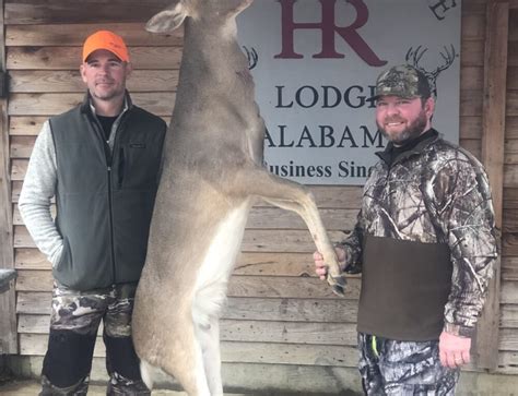 Whitetail Deer Hunting Alabama Outfitter Alabama Deer Hunting Lodge