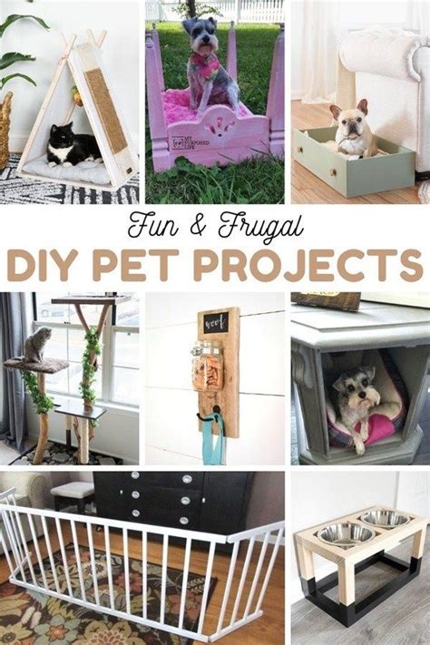 Diy Pet Projects To Inspire You To Make Something Today In 2020 With