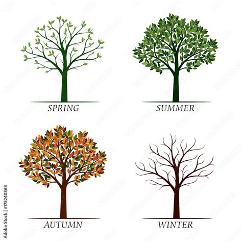 Spring Summer Autumn Winter Trees Vector Illustration Stock Vector