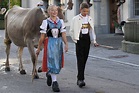 Kostenlose foto : Menschen, Dorf, Kühe, Schweiz, Appenzell, Tradition ...