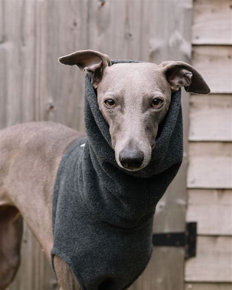 Our Fleece Snoods With Super Long Necks That Come Over The Ears Are The