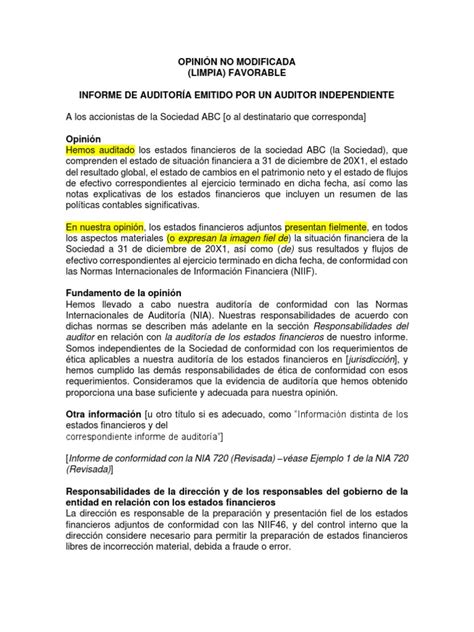 Modelo Opinión No Modificada Nia700 Pdf Estado Financiero Auditoría