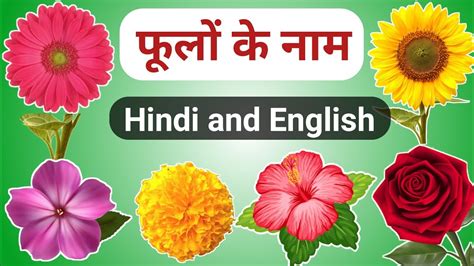 Flowers and their names in hindi. Learn Flowers Name Hindi & English | फूलों के नाम ...
