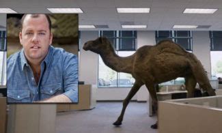 The disaster was preceded by a large fire at the port of beirut, on the city's northern mediterranean coast. Who's the Voice of the Camel in the Geico 'Hump Day ...