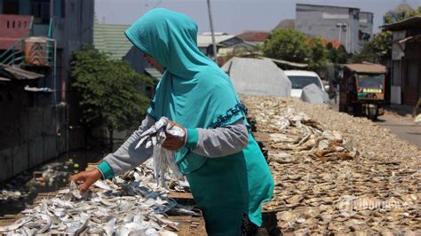 Stop Beli Ikan Asin Jika Terdapat Ciri Ciri Ini Bisa Mengancam Nyawa