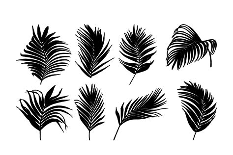 Palm Leaf Vector Illustration Graphic By Mangata Design · Creative Fabrica